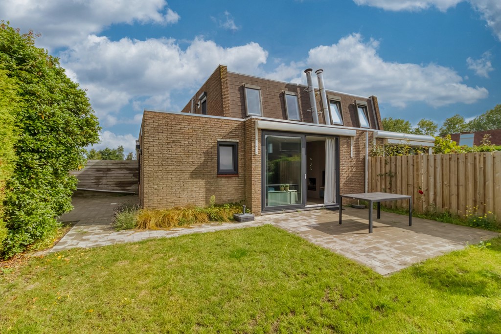 Lamsoor 5 Nieuwvliet-3 (1).jpg